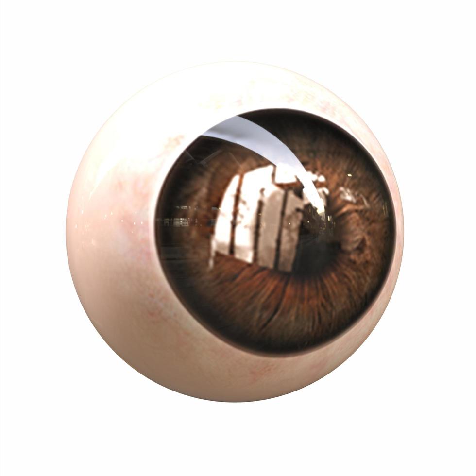 3d Rendering of human eye photo