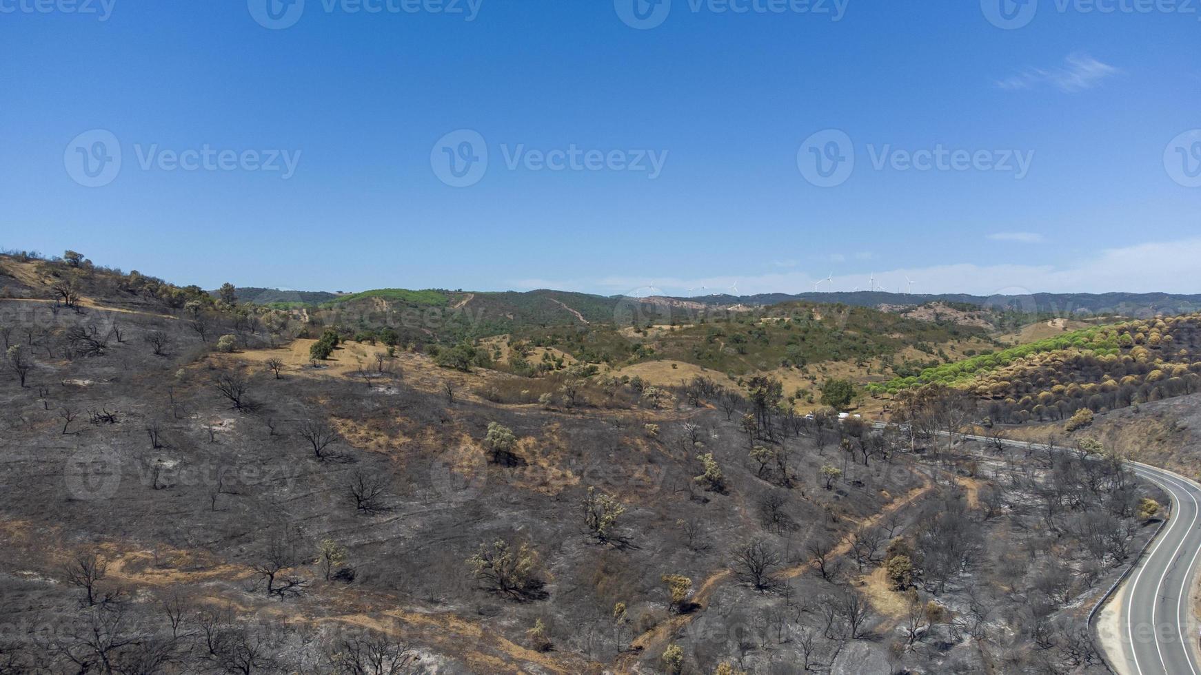 vista aérea de drones del bosque quemado al lado de la carretera. tierra oscura y árboles negros causados por el fuego. incendio forestal. cambio climático, ecología y suelo. foto
