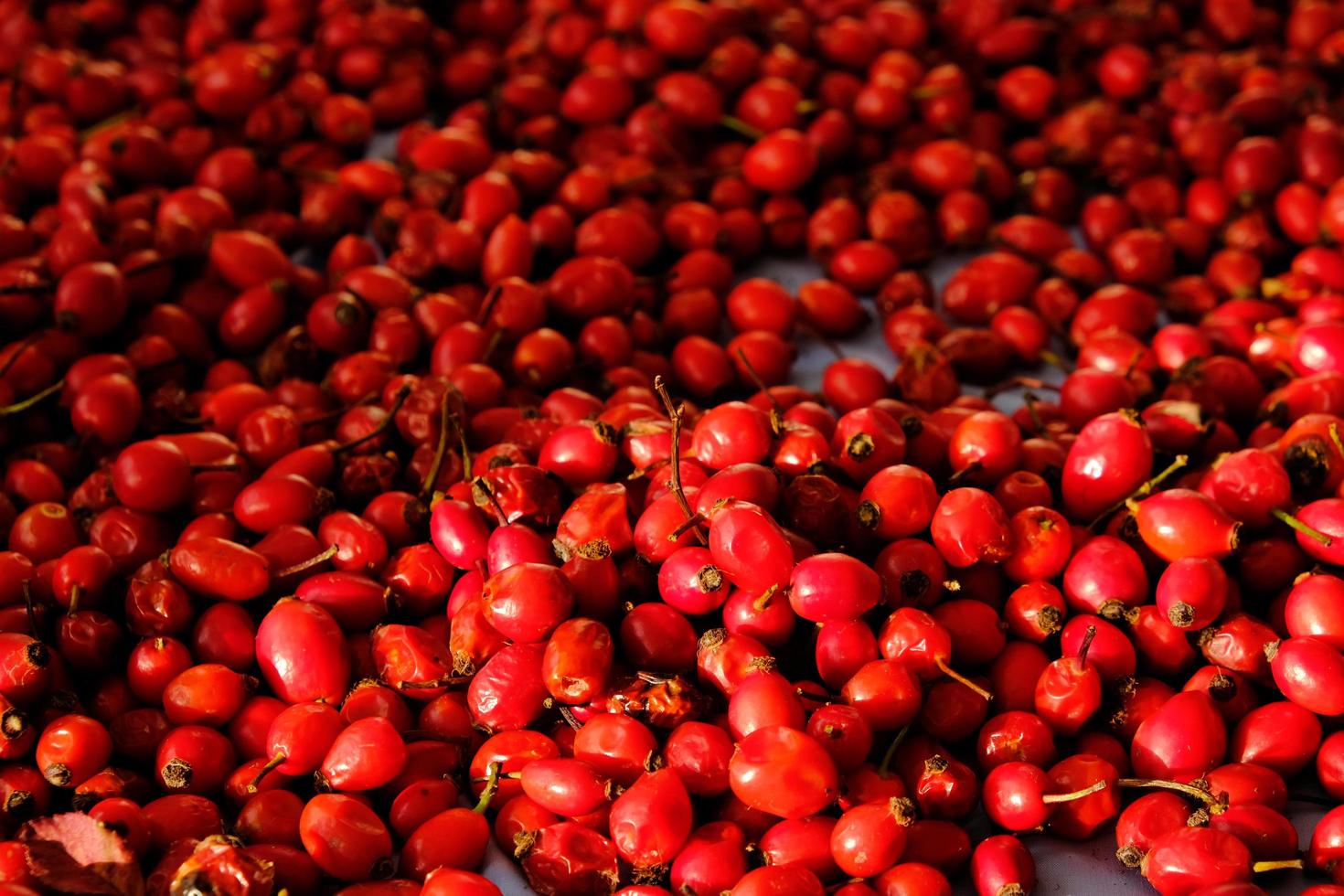 Rose hip or rosehip over the table. Empty space for copy paste. Backgrounds and textures. Red vibrant colors. Cinematic. Wild fruits and healthy food. photo