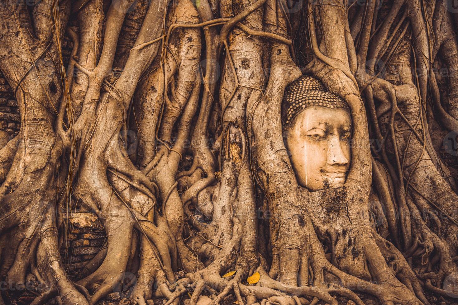 THAILAND Ruins and Antiques at the Ayutthaya Historical Park Tourists from around the world Buddha decay photo