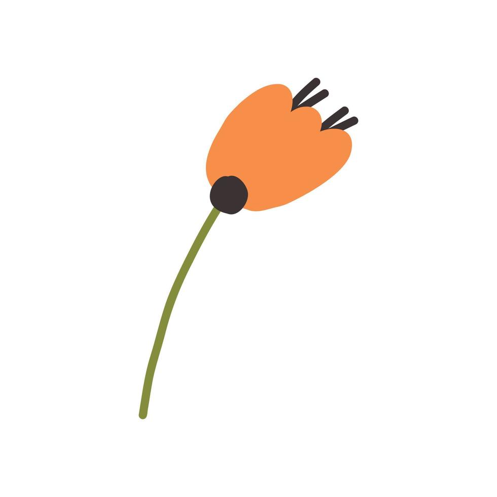 Orange delicate flower hand drawn vector