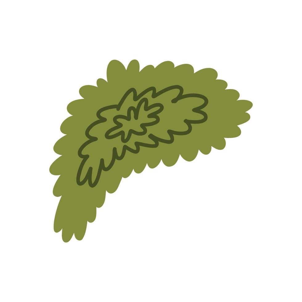 dibujado a mano planta de musgo verde vector