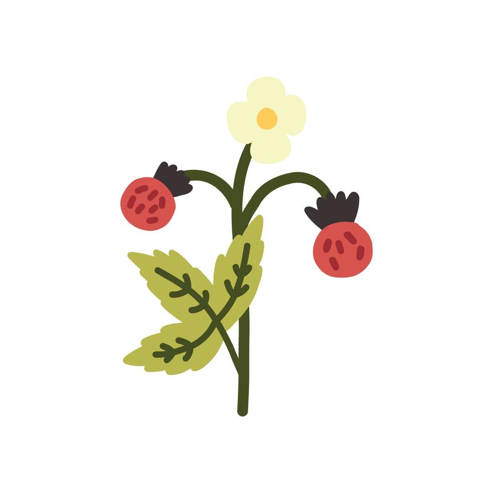 Summer strawberries doodle vector