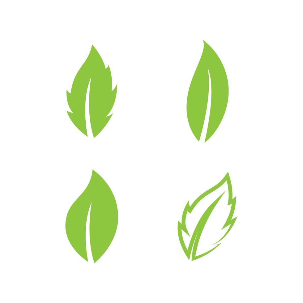 Green leaf collection vector