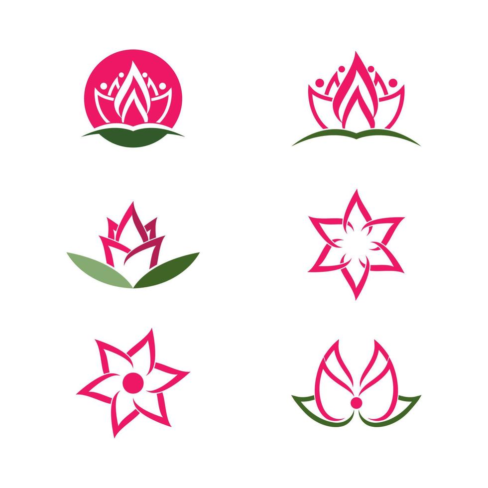 Lotus flowers illustration vector