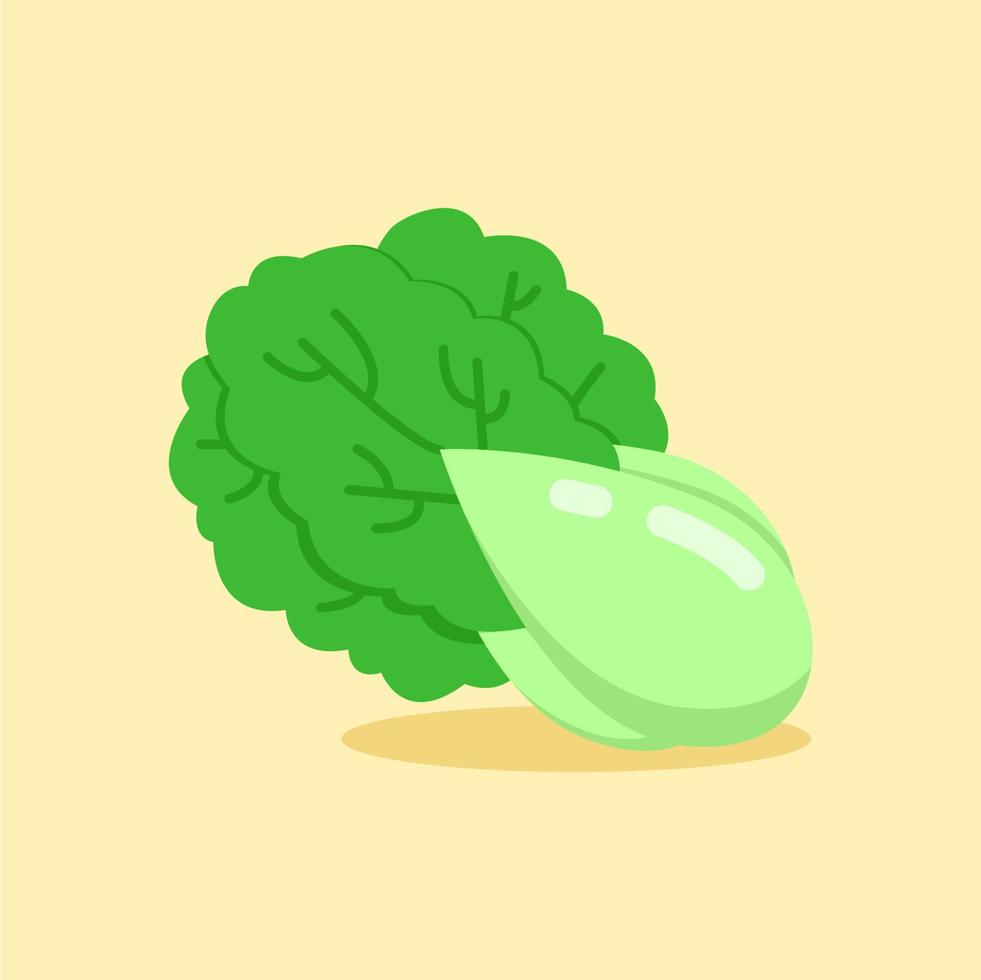 Illustration vector graphic of Chinese cabbage