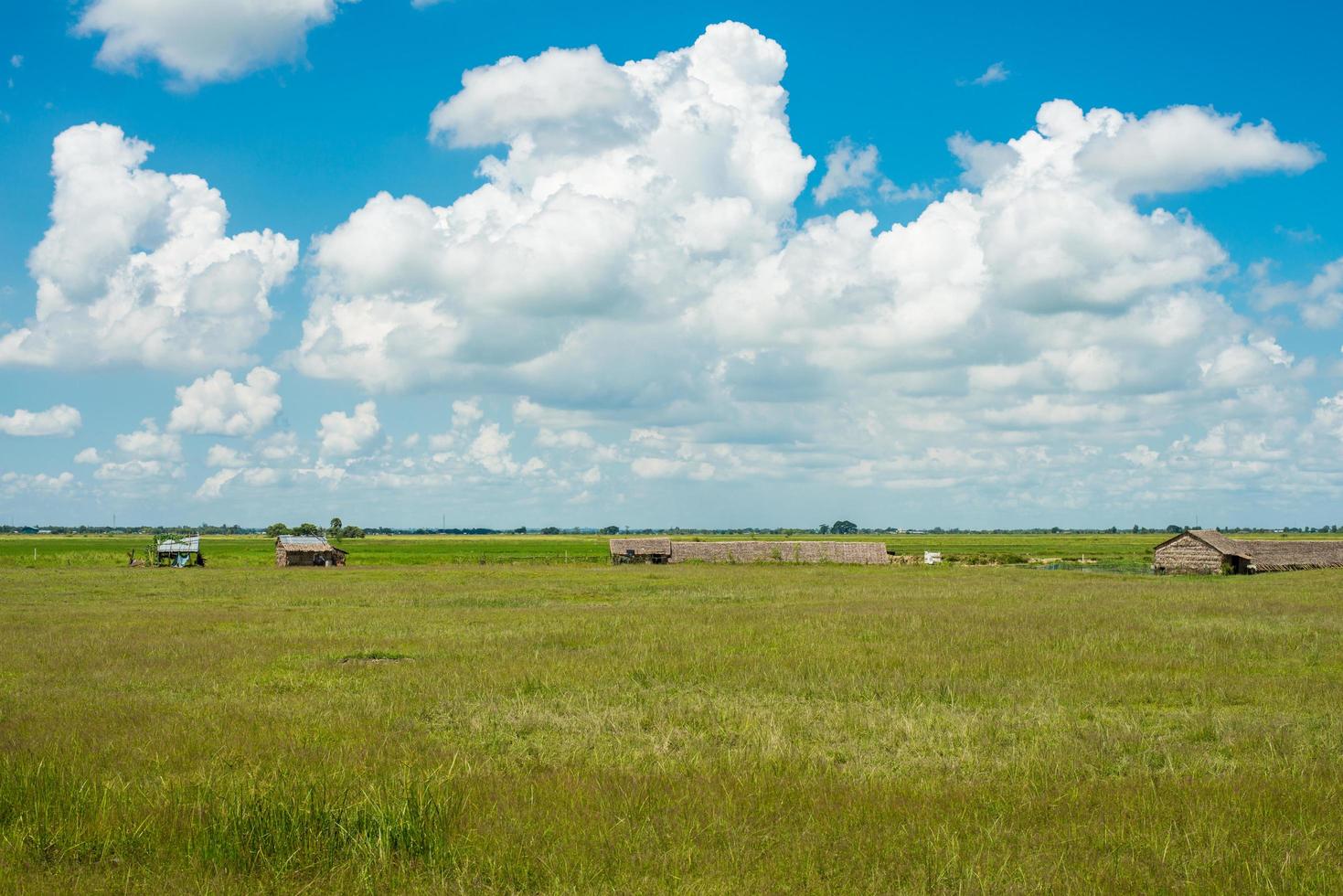 el campo de arroz y la vista del paisaje del campo de myanmar. foto