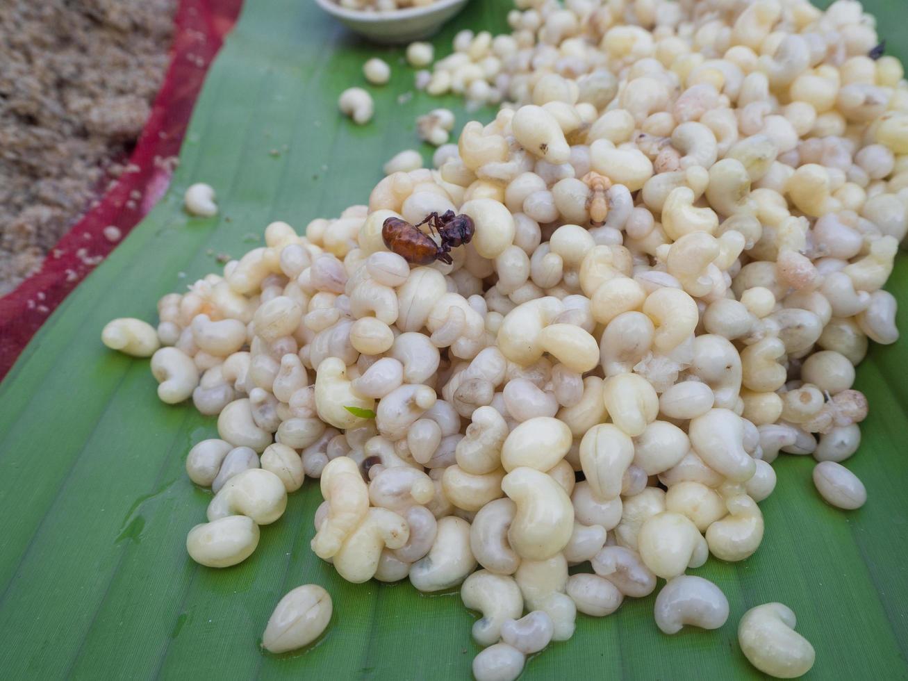 huevos de hormiga subterráneos en hoja de plátano a la venta en el mercado. foto