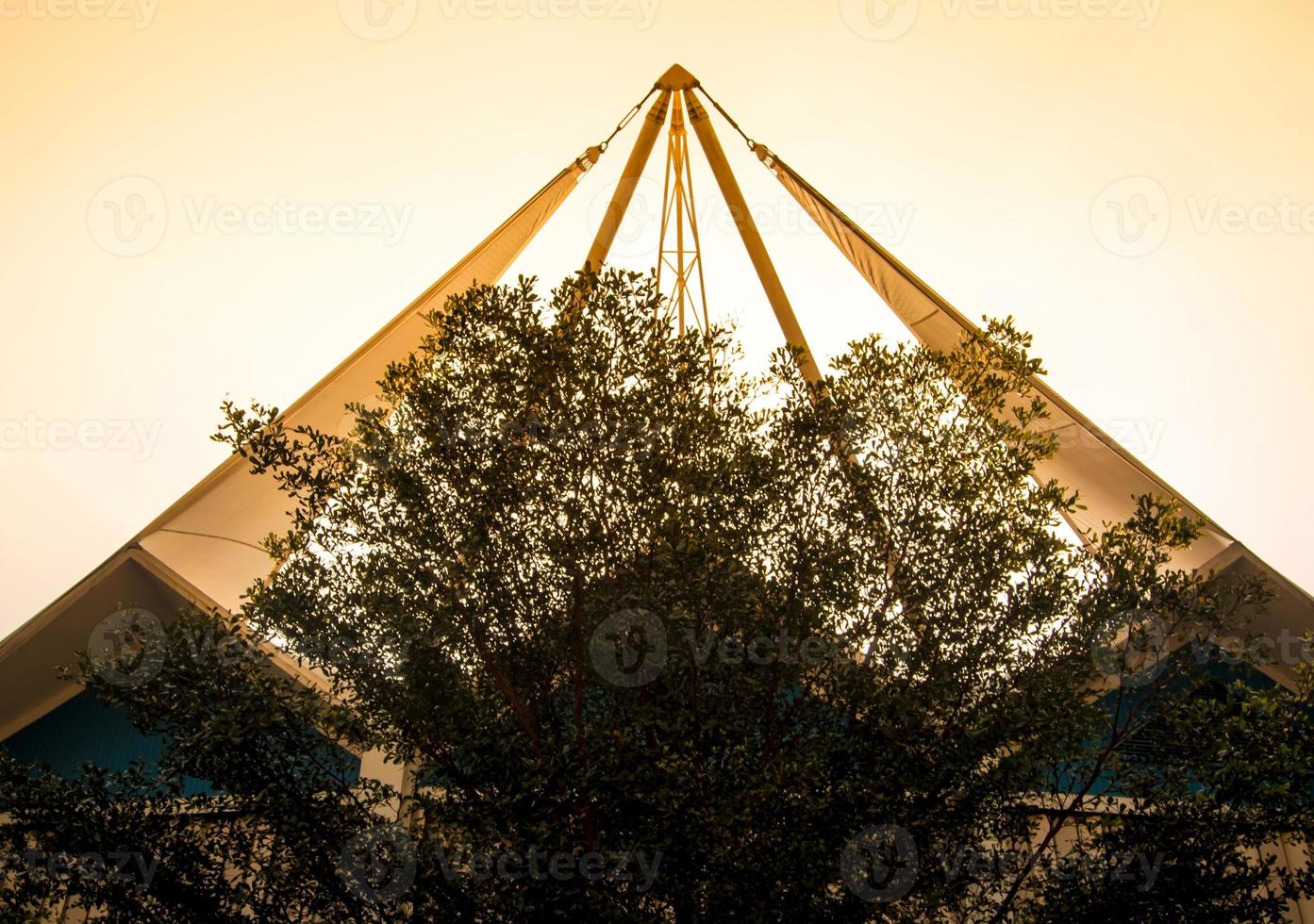 The modern building behide trees photo
