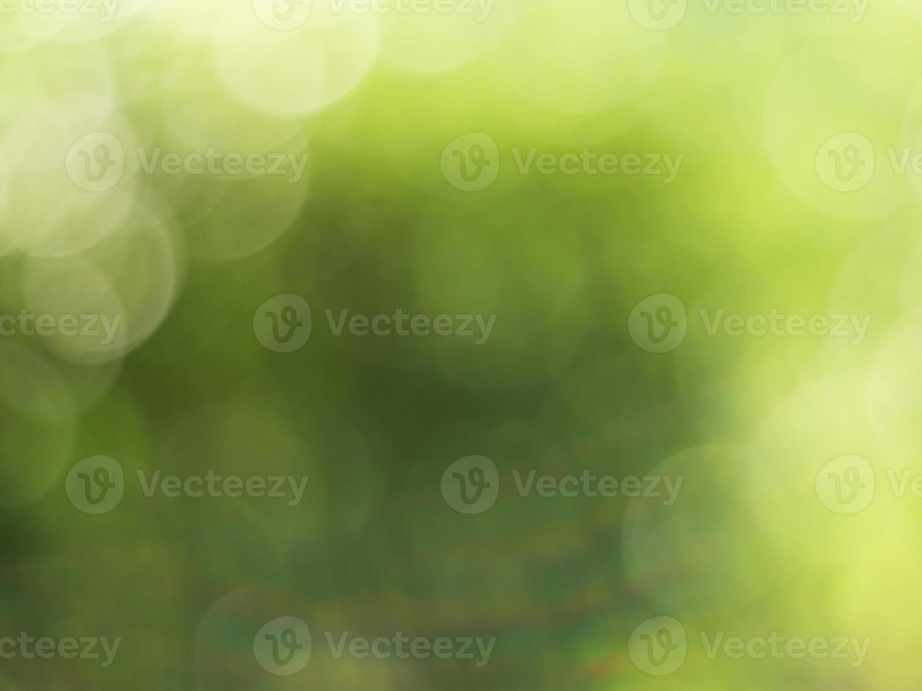 Natural outdoors bokeh background in green and yellow tones, Blurred green tree leaf background with bokeh photo