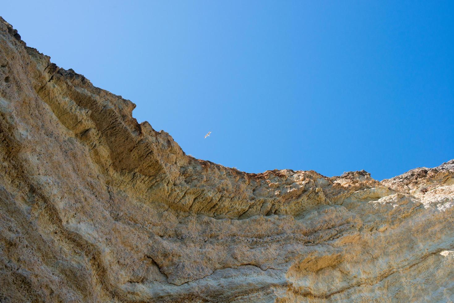 hermoso acantilado en el algarve visto desde abajo. una gaviota volando sobre ella, cielo azul. Portugal foto