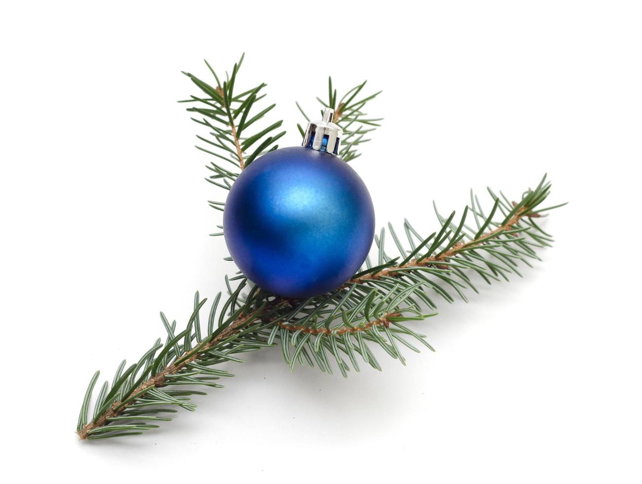 Bola de Navidad azul en rama de abeto aislado sobre fondo blanco. foto