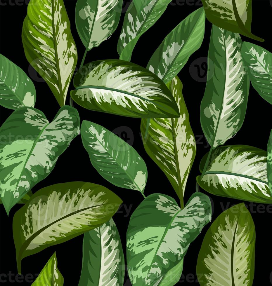 tropical leaf pattern photo