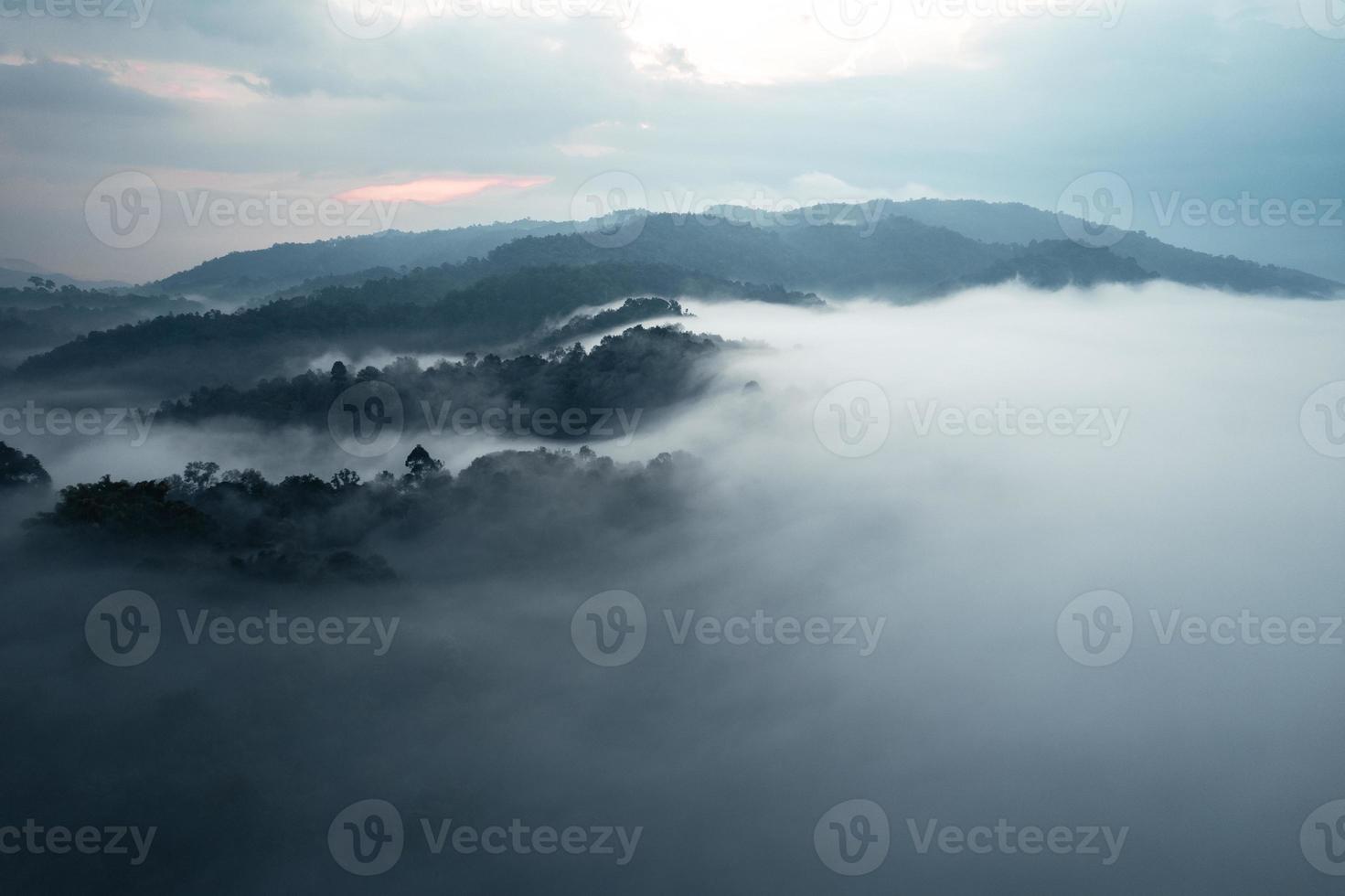 landscape, summer scenery on the mountain in the evening photo