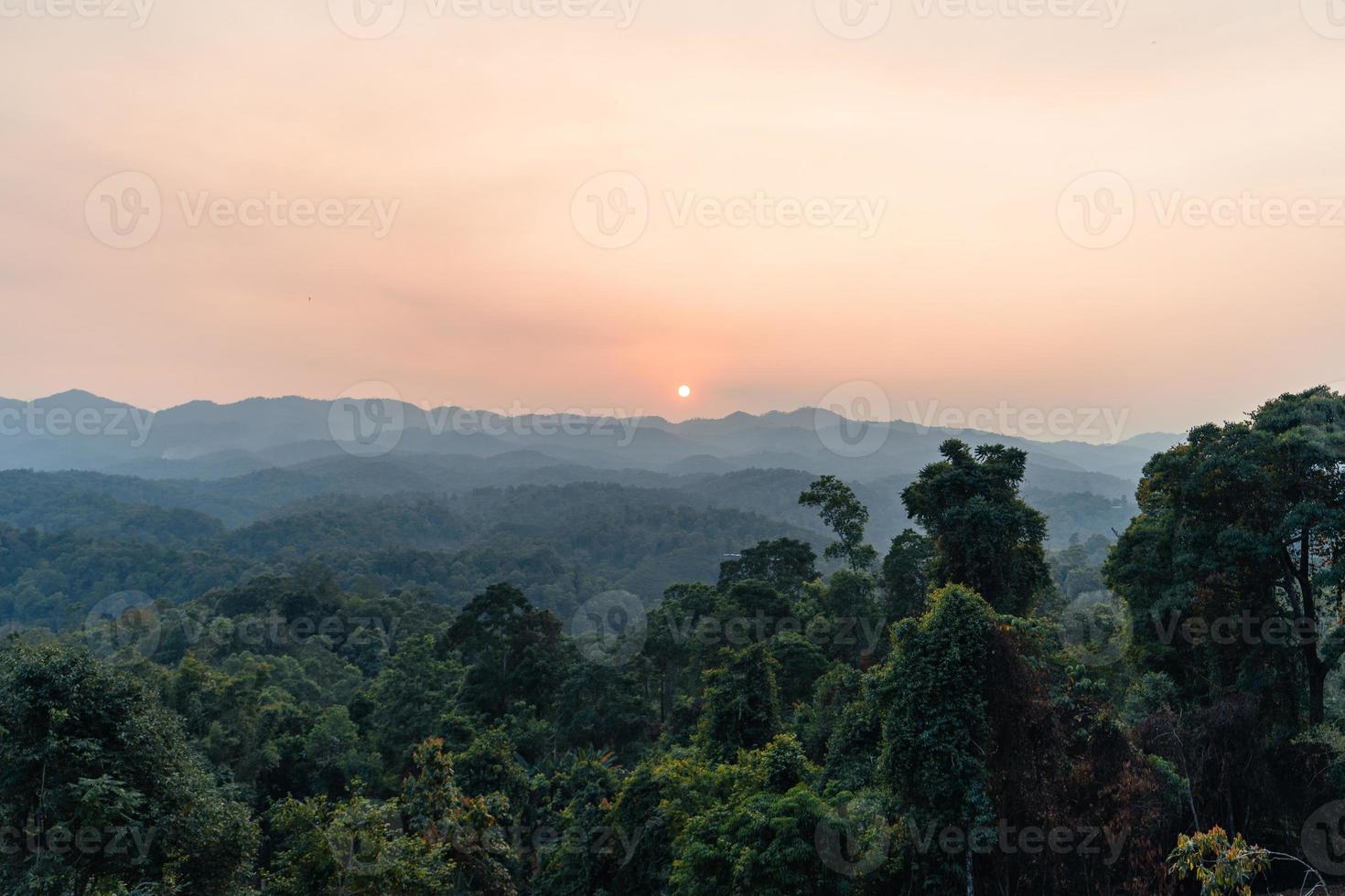 landscape, summer scenery on the mountain in the evening photo