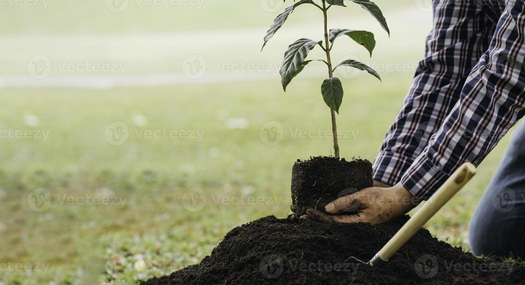 plantando un árbol. cierre al joven plantando el árbol mientras trabaja en el jardín. foto