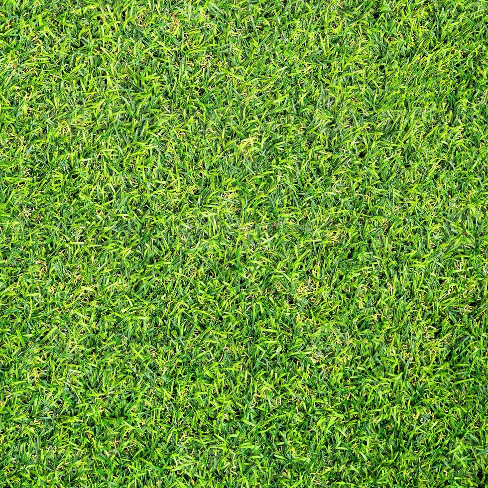 Green grass texture for background. Green lawn pattern and texture background. photo