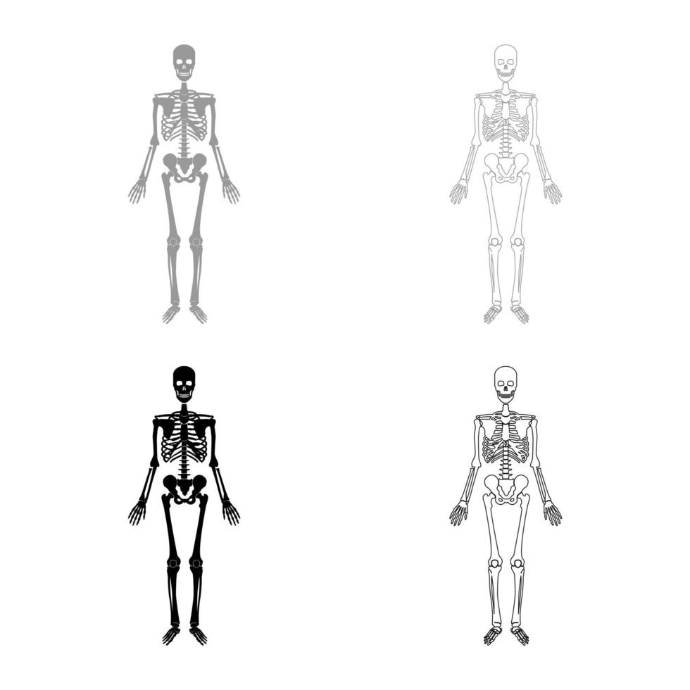 Skeleton human set icon grey black color vector illustration image solid fill outline contour line thin flat style