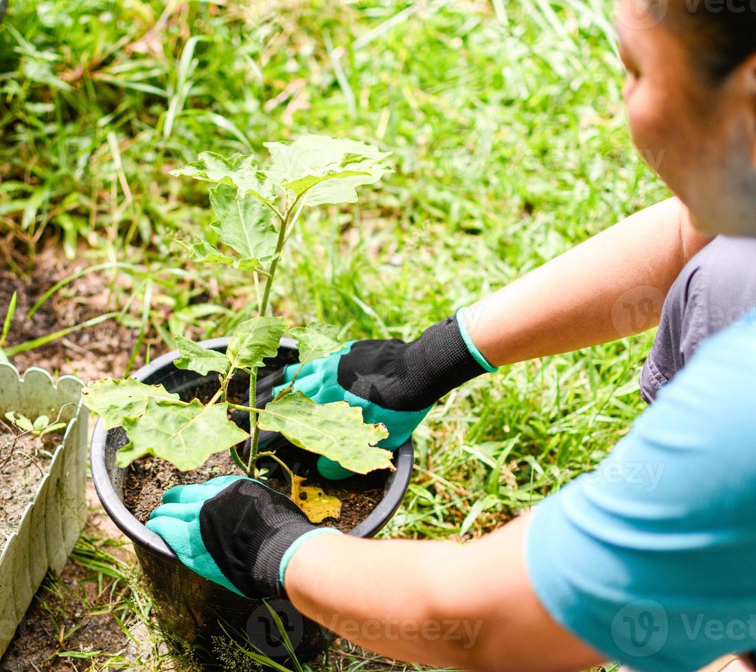 A woman wears farming gloves in the garden around the house. It is a home farming concept for hobby and relaxation in the summer. Closeup, selective focus, blurred background photo