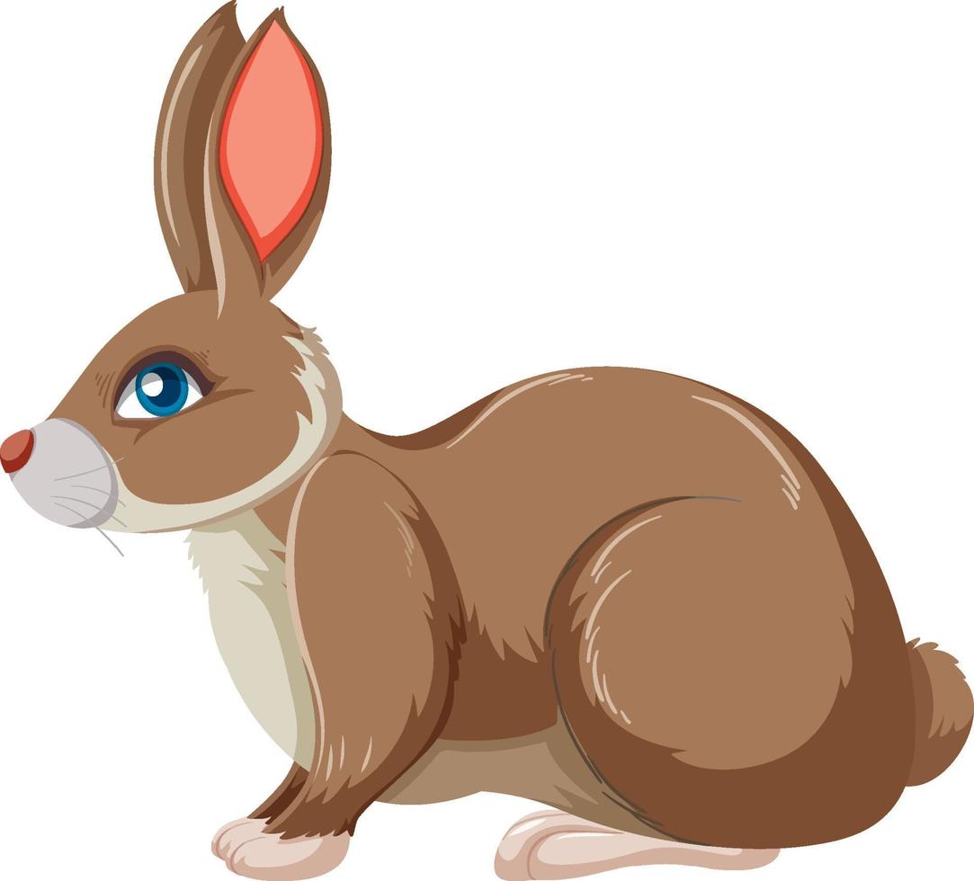 Cute bunny sitting alone vector