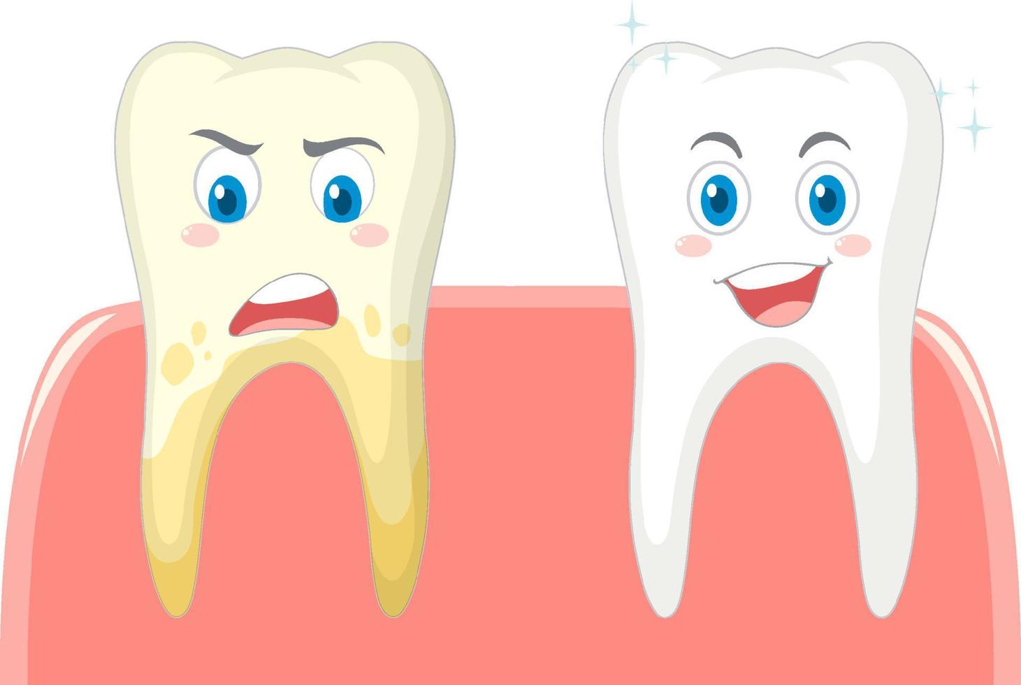 dientes fuertes limpios dientes blancos y amarillos vector