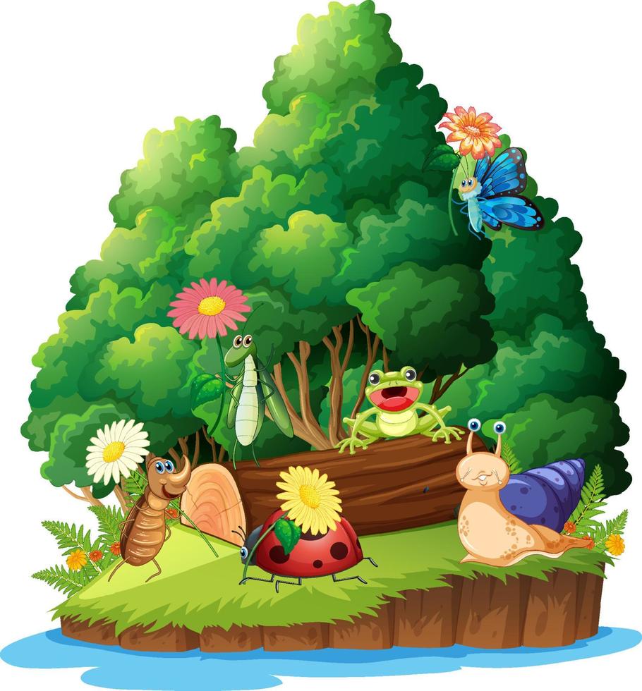 Cartoon insect and beetle in the forest vector