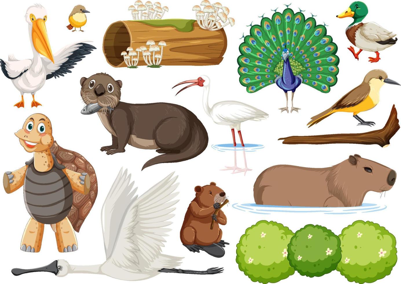 colección de diferentes tipos de animales salvajes vector