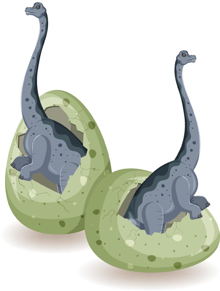 Two brachiosaurus hatching from egg vector