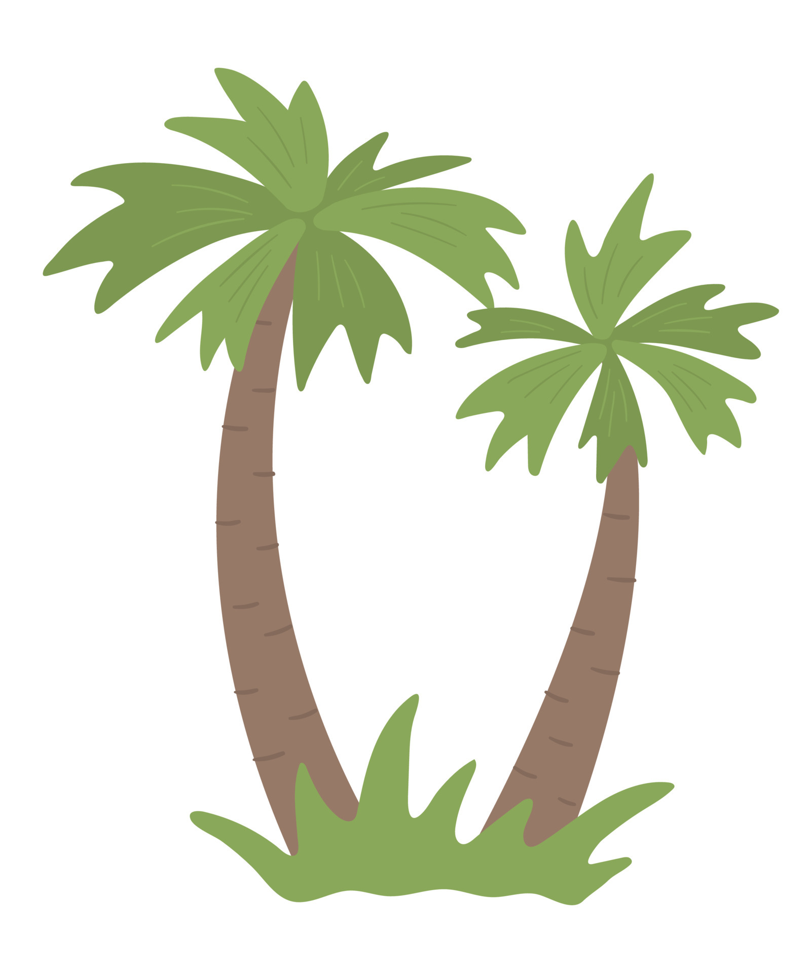 Vector tropical palm tree clip art. Jungle foliage illustration. Hand