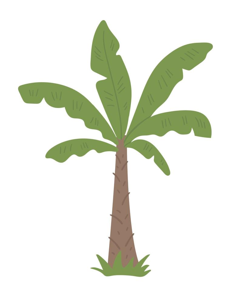Vector tropical palm tree clip art. Jungle foliage illustration. Hand drawn flat exotic plant isolated on white background. Bright childish summer greenery illustration.
