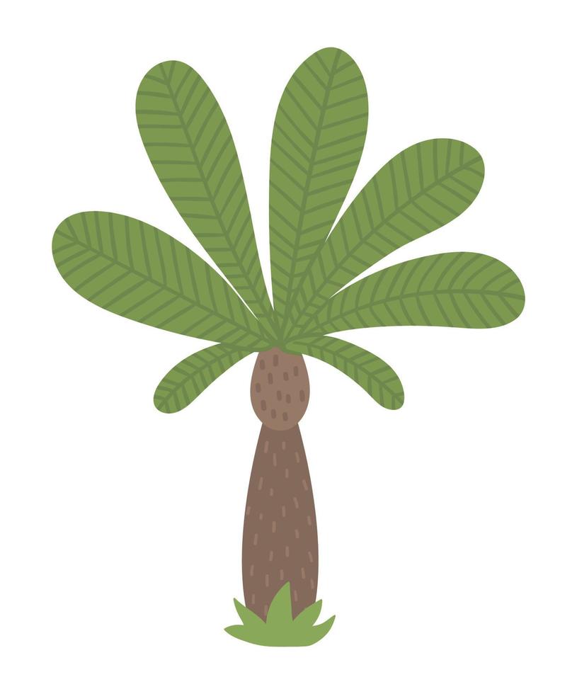 Imágenes prediseñadas vectoriales de palmeras tropicales. ilustración de follaje de la selva. planta exótica plana dibujada a mano aislada sobre fondo blanco. ilustración de vegetación de verano infantil brillante. vector