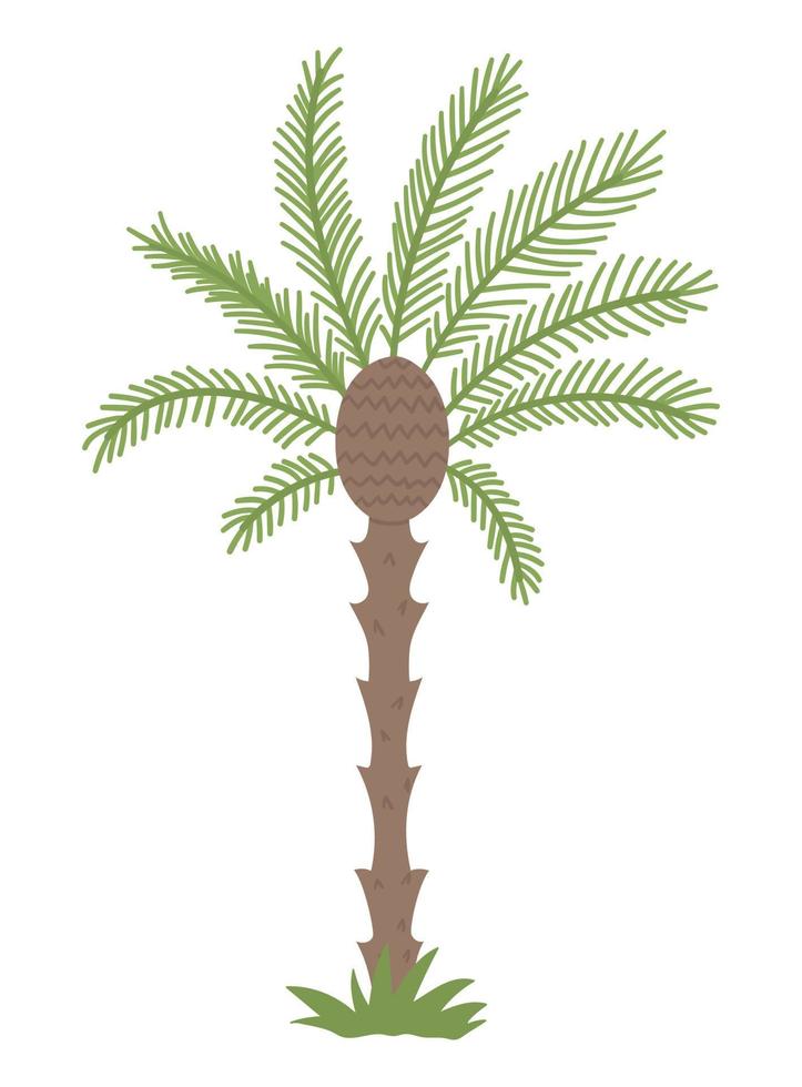 Vector tropical palm tree clip art. Jungle foliage illustration. Hand drawn flat exotic plant isolated on white background. Bright childish summer greenery illustration.
