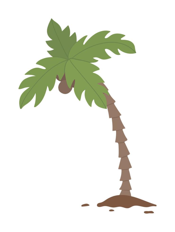 Vector tropical palm tree clip art. Jungle foliage illustration. Hand drawn flat exotic plant isolated on white background. Bright childish summer greenery illustration.