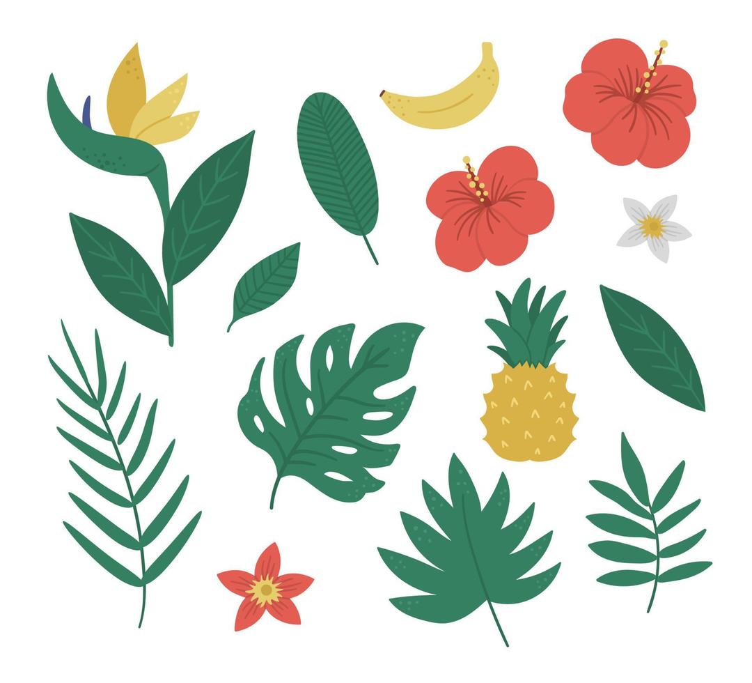 Vector tropical fruit, flowers and leaves clip art. Jungle foliage and florals illustration. Hand drawn flat exotic plants isolated on white background. Bright childish summer greenery illustration.