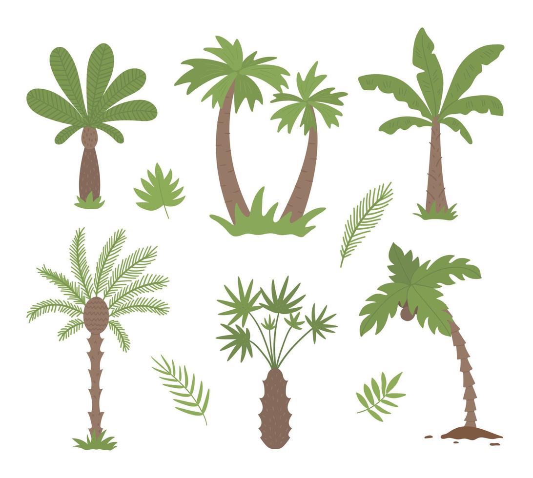 Vector tropical palm trees clip art. Jungle foliage illustration. Hand drawn flat exotic plants isolated on white background. Bright childish summer greenery illustration.