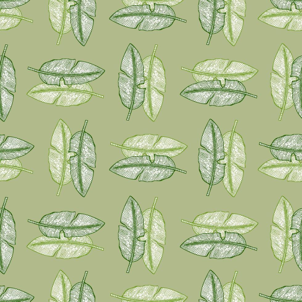 patrón sin costuras de hoja de plátano. rama tropical vintage en estilo de grabado. vector