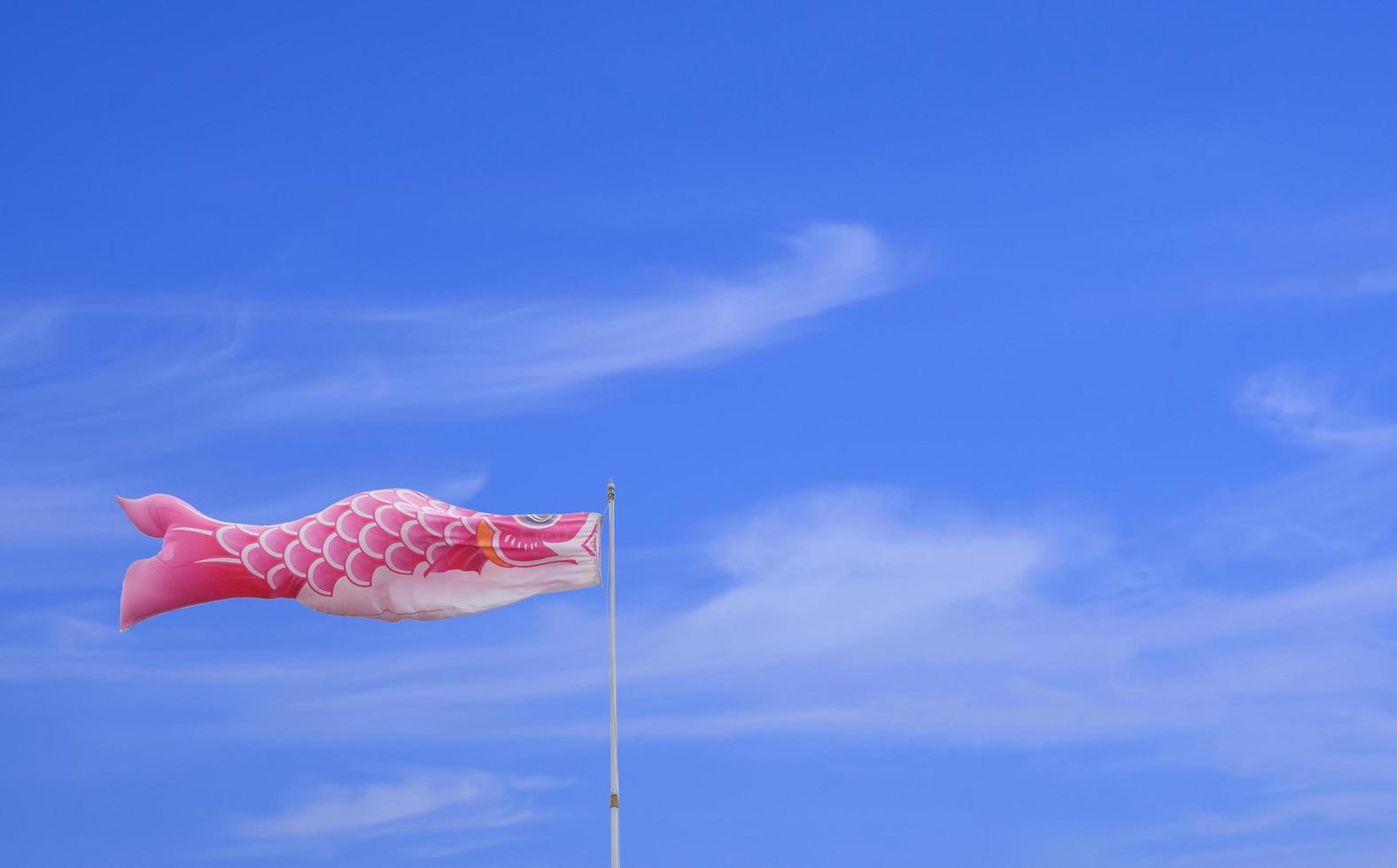 Pink Koi fish flag against white cloud and blue sky in minimal style photo