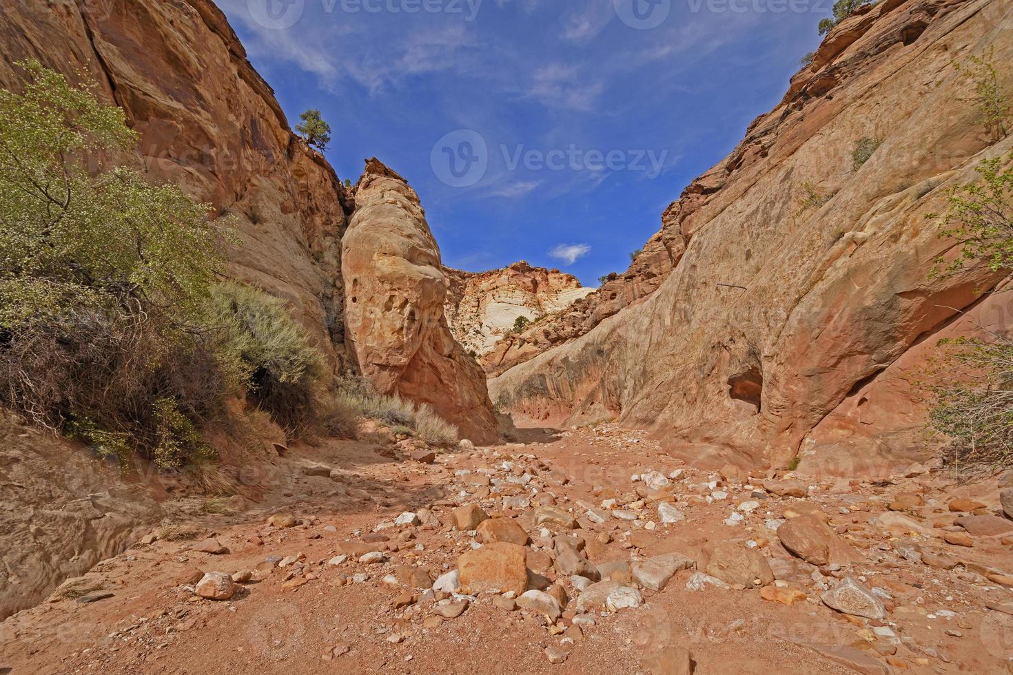 Jumbled Rocks in Desert Streambed photo