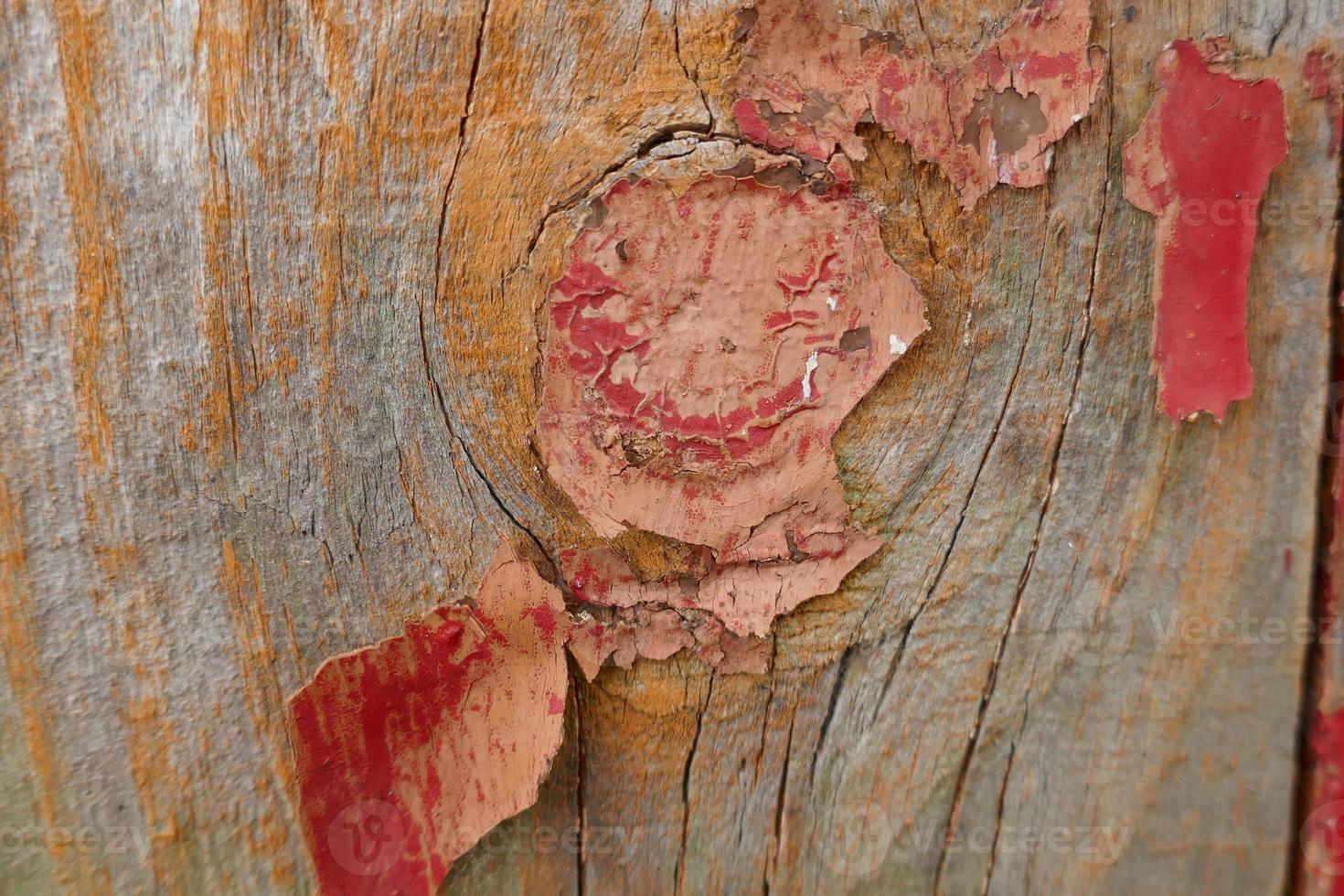 Details of an Old Orange Wooden Door photo