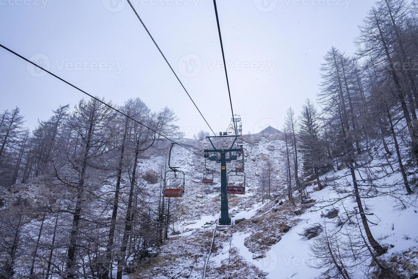 Empty chair ski lift amidst snow covered pine trees forest photo