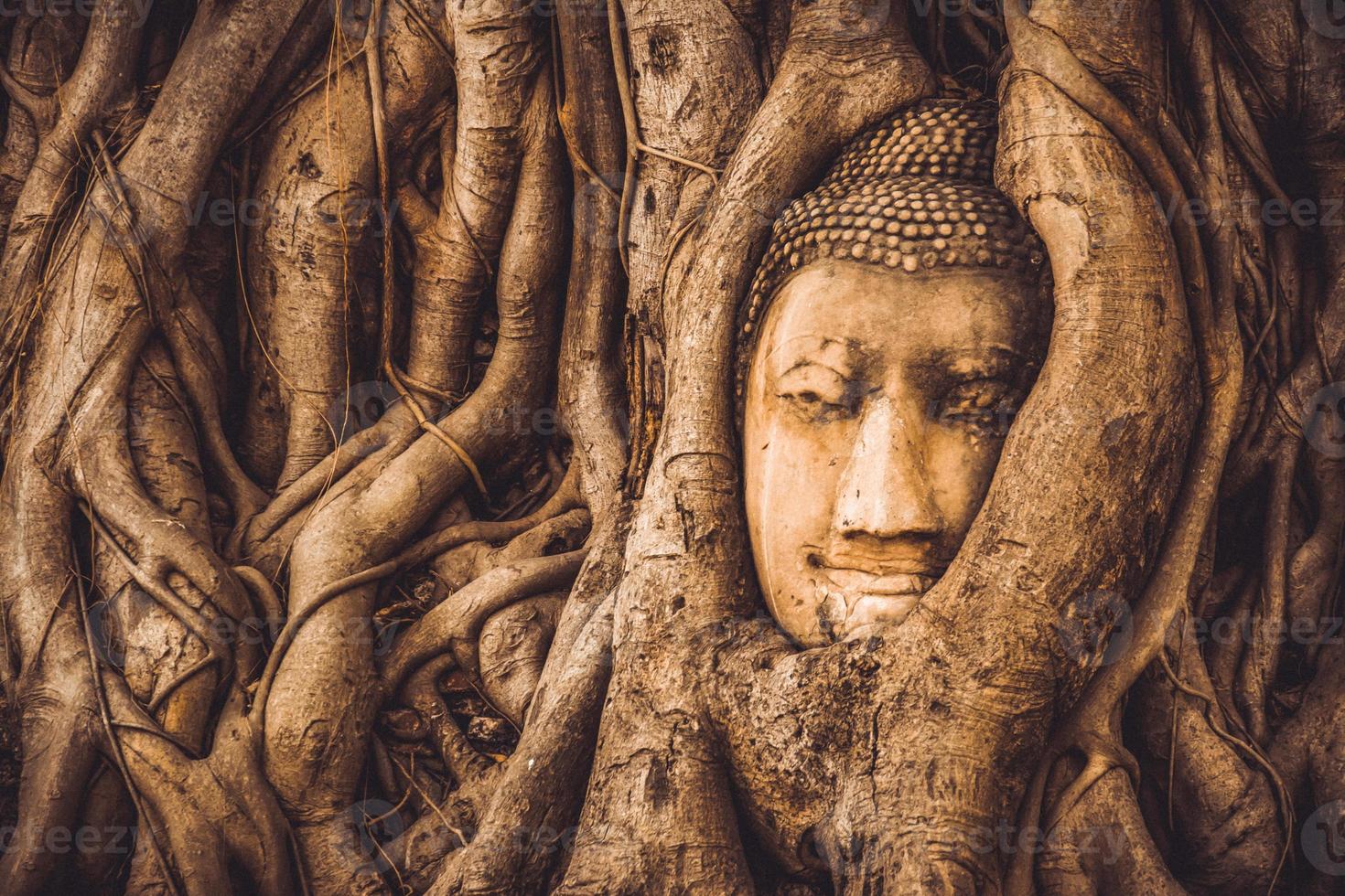 THAILAND Ruins and Antiques at the Ayutthaya Historical Park Tourists from around the world Buddha decay photo
