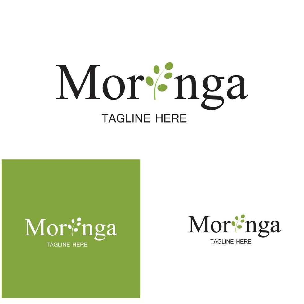 Moringa leaf logo illustration vector design