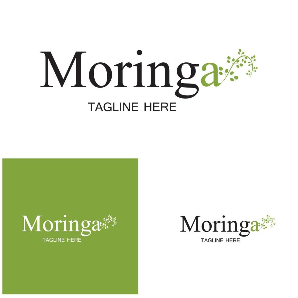 diseño de vector de ilustración de logotipo de hoja de moringa