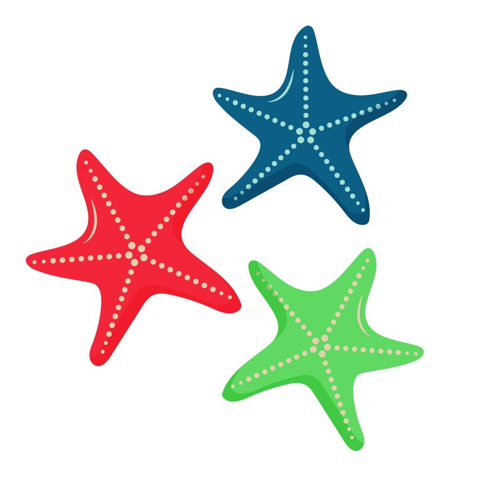 estrellas de mar con diferentes colores. vector