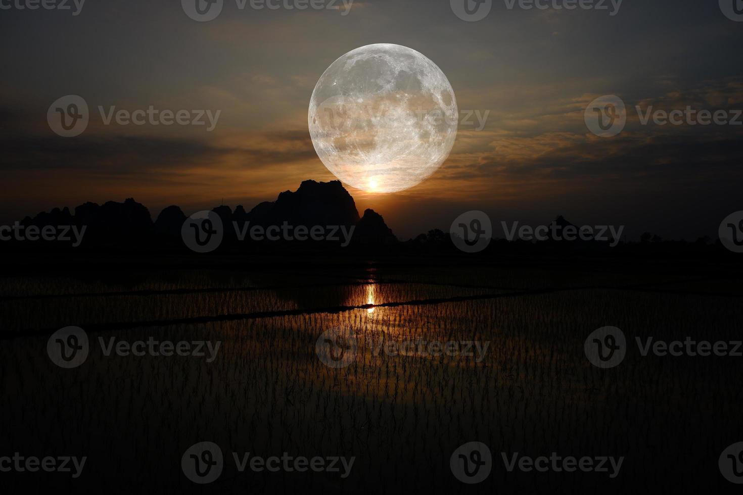 The full moon through the rice field. The full moon is the lunar phase when the Moon appears fully illuminated from Earth's perspective. This occurs when Earth is located between the Sun and the Moon. photo