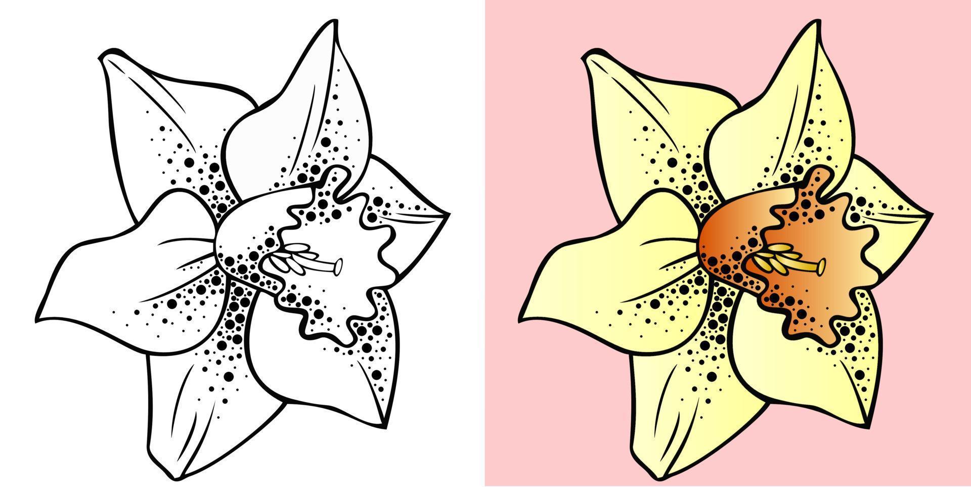 un conjunto de flores de primavera, amarillo narciso y dibujo de contorno vector