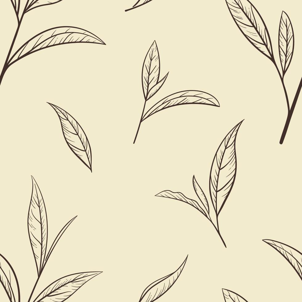 Green tea leaf hand drawn seamless pattern. Sketch tea organic food and drink. Vector illustration, seamless pattern on craft paper background. Plant leaves for printing and design