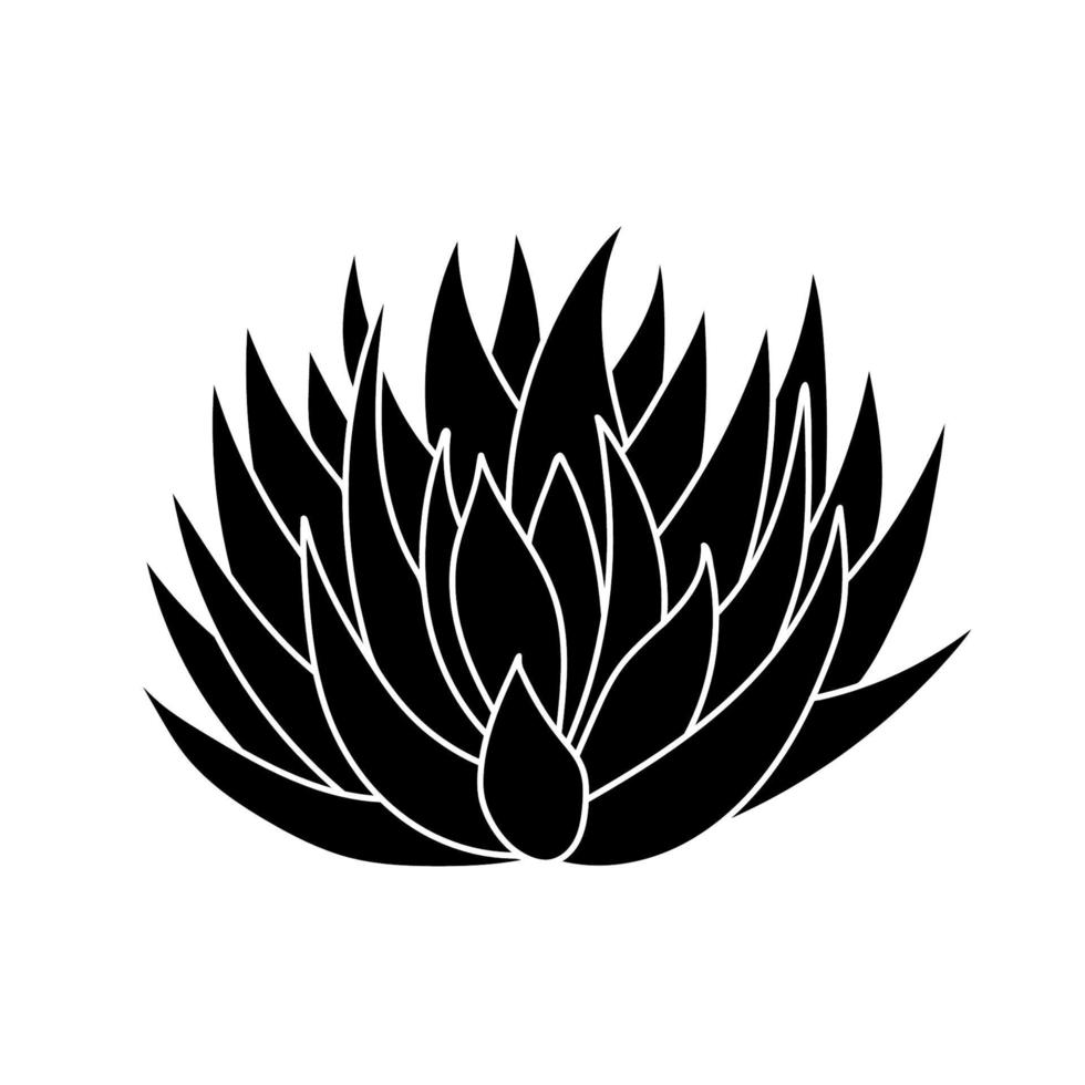 Succulent agave in simple style, vector illustration. Desert flower for print and design. Silhouette mexican plant, graphic isolated element on a white background. Houseplant for decor interior