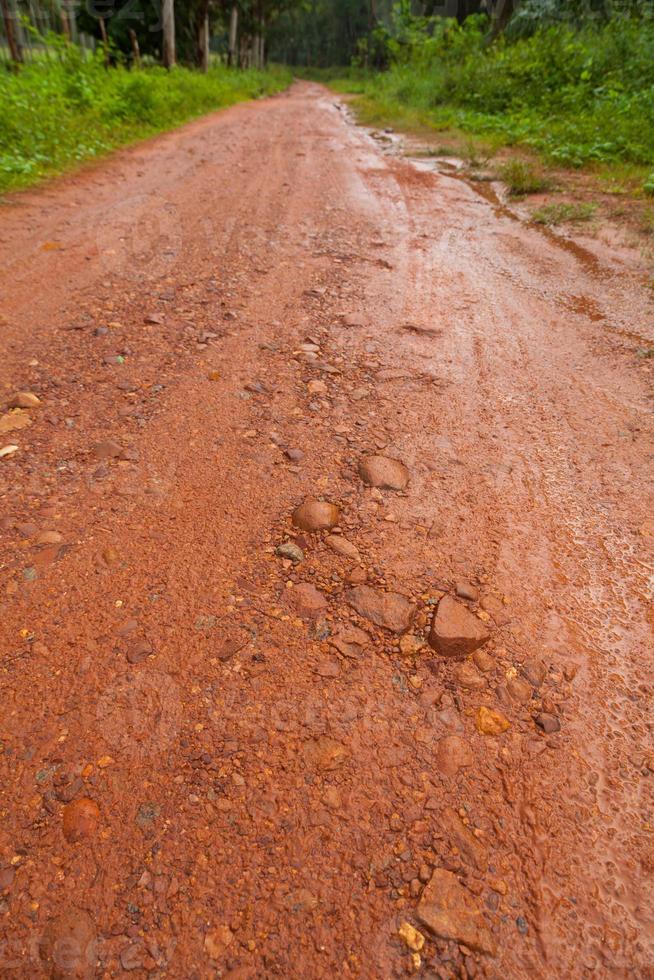 camino de barro después de la lluvia en Tailandia foto