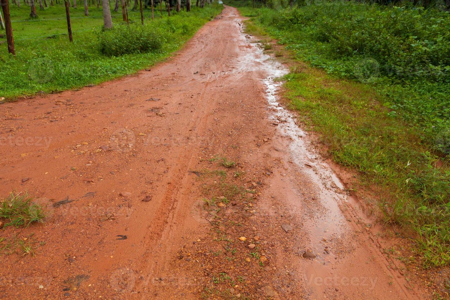 Mud Road after rain in Thailand photo